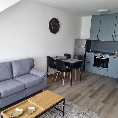 Cerna Ruze- Apartman 5 Plzen Bagian luar foto