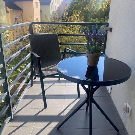 Cerna Ruze- Apartman 5 Plzen Bagian luar foto