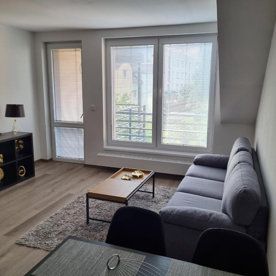 Cerna Ruze- Apartman 5 Plzen Bagian luar foto