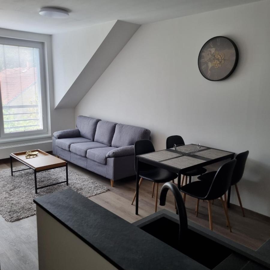 Cerna Ruze- Apartman 5 Plzen Bagian luar foto