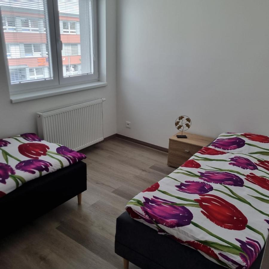 Cerna Ruze- Apartman 5 Plzen Bagian luar foto