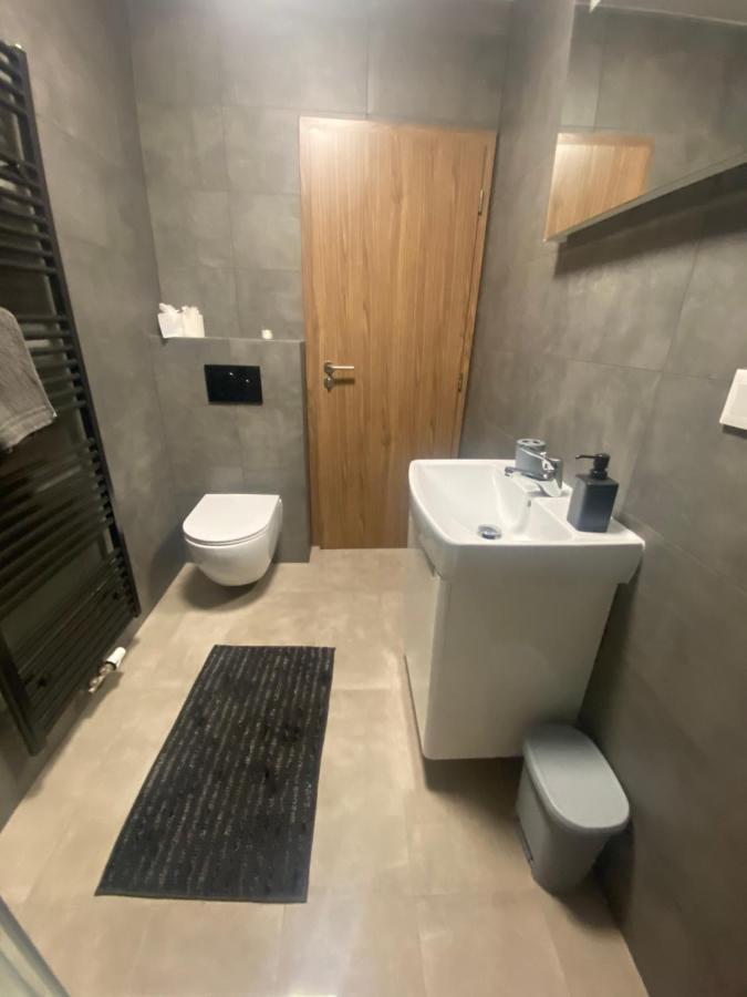 Cerna Ruze- Apartman 5 Plzen Bagian luar foto