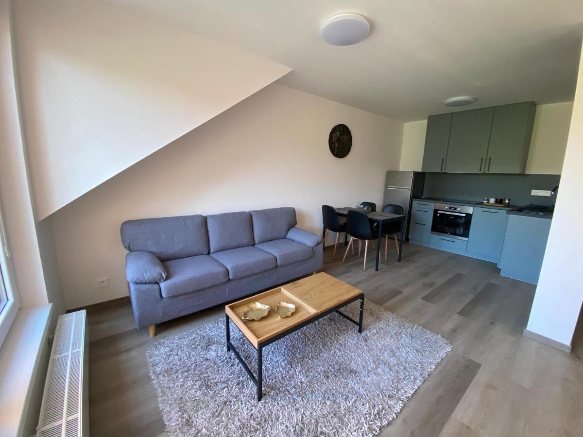 Cerna Ruze- Apartman 5 Plzen Bagian luar foto