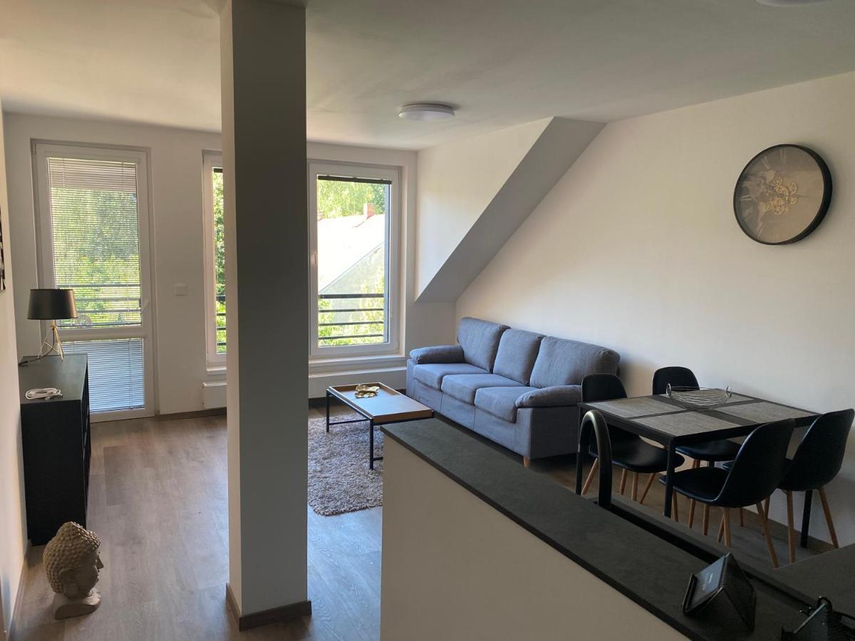 Cerna Ruze- Apartman 5 Plzen Bagian luar foto