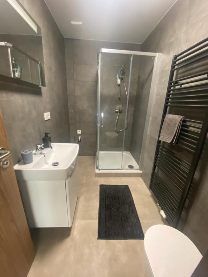 Cerna Ruze- Apartman 5 Plzen Bagian luar foto