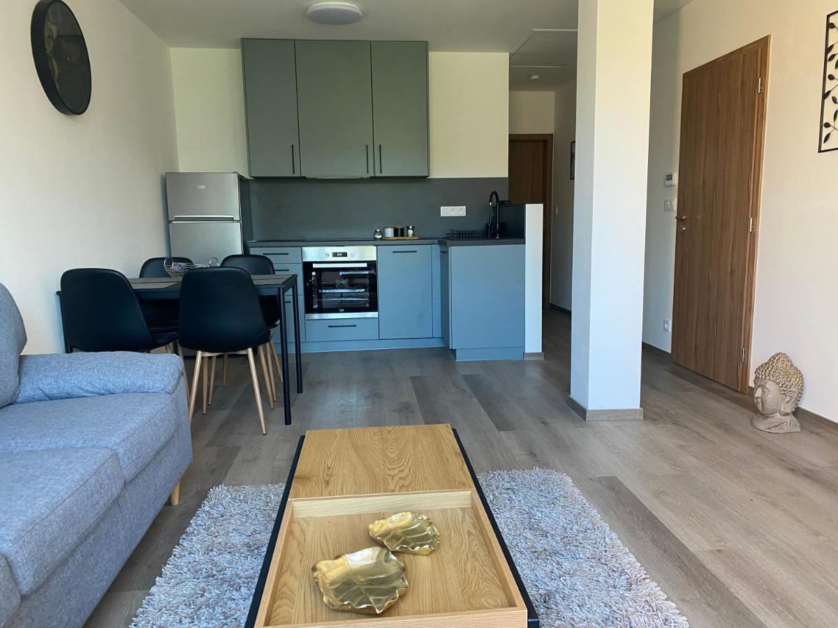 Cerna Ruze- Apartman 5 Plzen Bagian luar foto