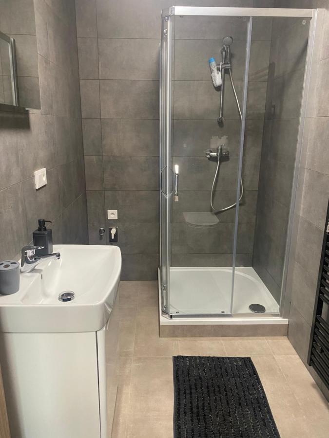 Cerna Ruze- Apartman 5 Plzen Bagian luar foto