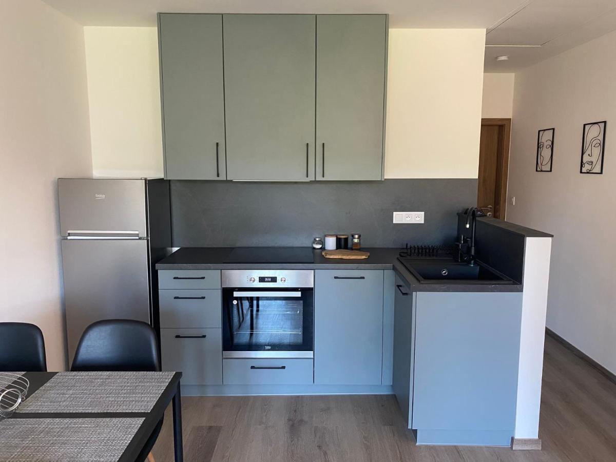 Cerna Ruze- Apartman 5 Plzen Bagian luar foto