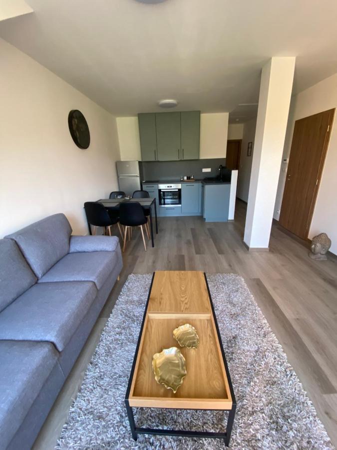 Cerna Ruze- Apartman 5 Plzen Bagian luar foto