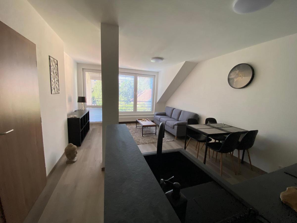Cerna Ruze- Apartman 5 Plzen Bagian luar foto